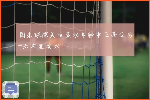 国米球探关注莱切年轻中卫蒂亚戈-加布里埃尔